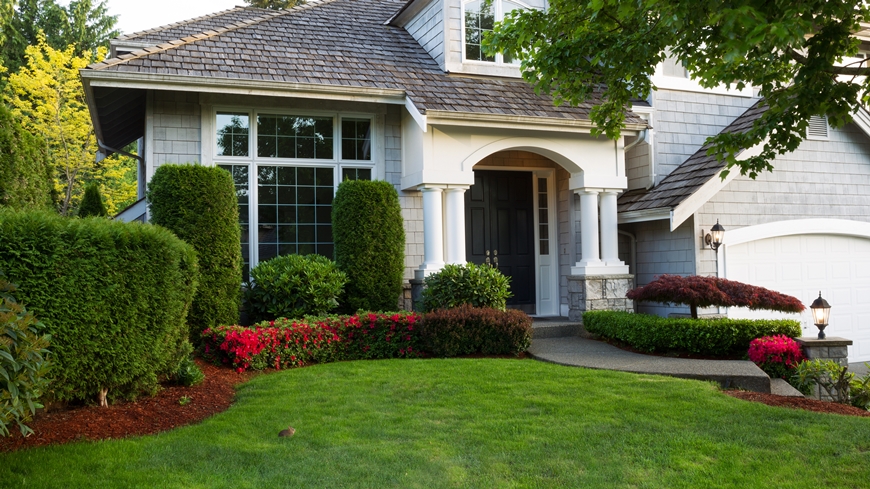 GARDEN CARE AND MAINTENANCE IN BRAMPTON AND THE SURROUNDING AREAS