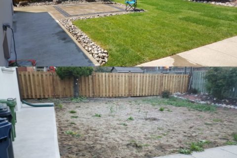 Garden Landscaping Before/After