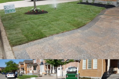 Residential landscaping Before/After
