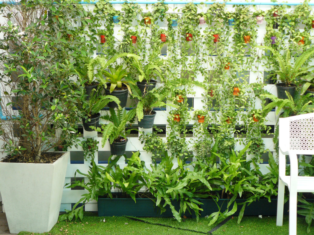 Image showcasing Creative Vertical Gardening Ideas for Small Front Yards