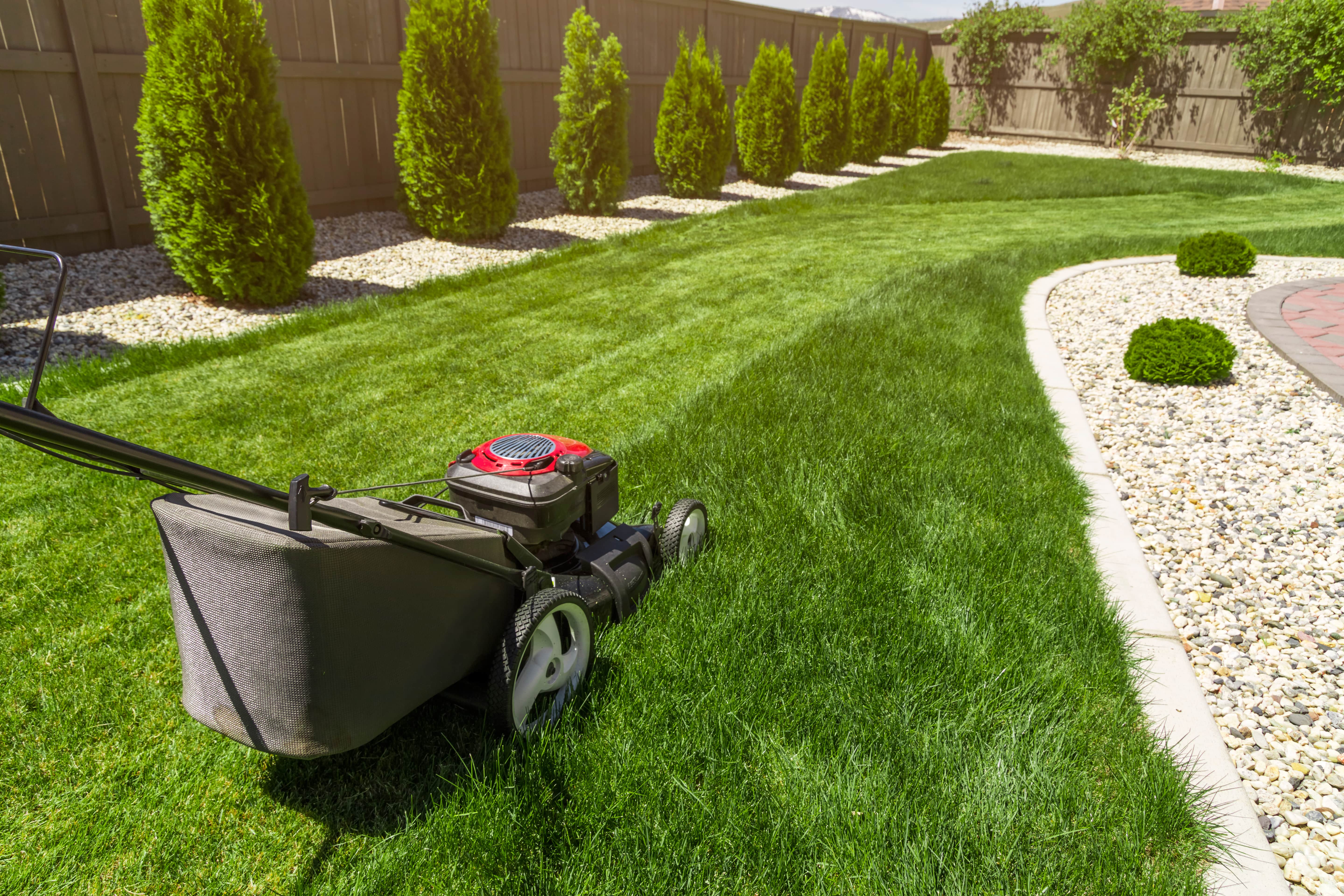 What to do with your lawn after winter