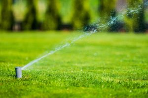 Garden Lawn Sprinkler. Automatic Garden Watering System.