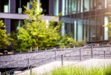 7 Common Landscaping Problems for Commercial Properties