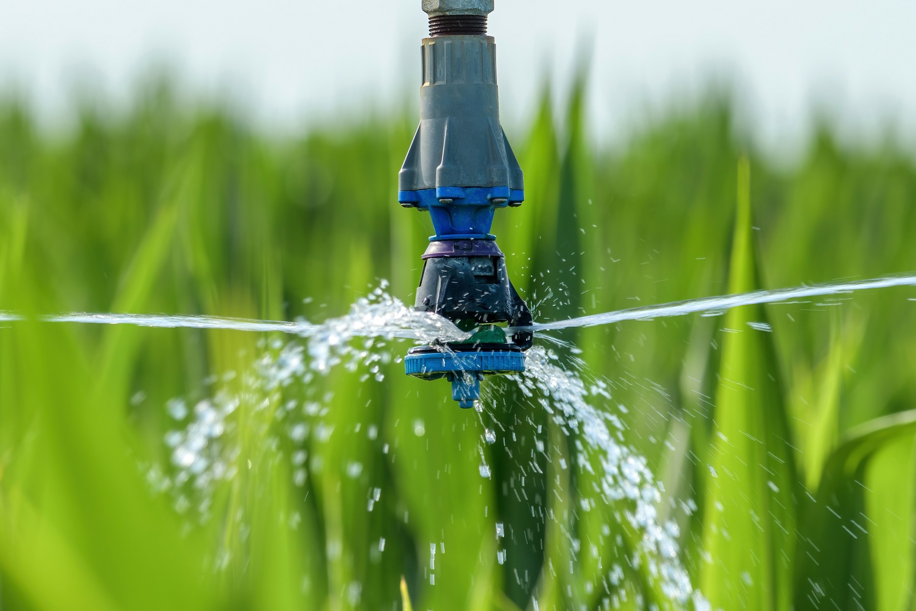 Irrigation for Commercial Landscaping in Brampton