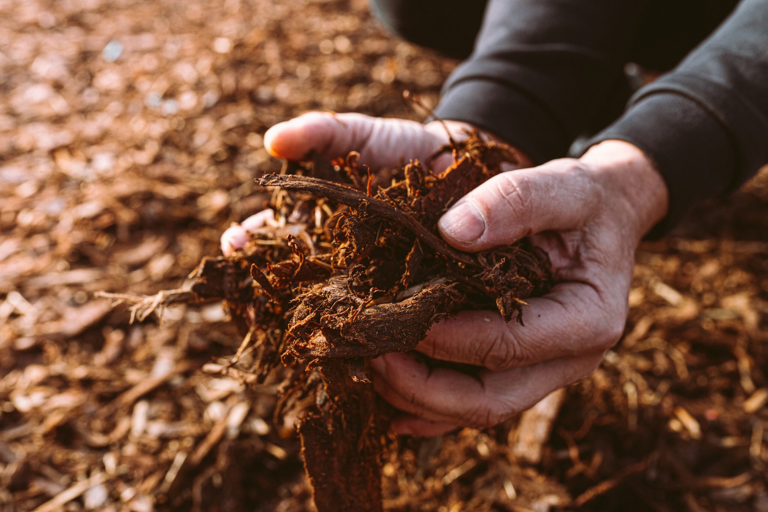 How to Avoid Common Mulching Mistakes