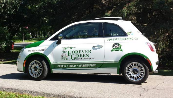 Forever Green car