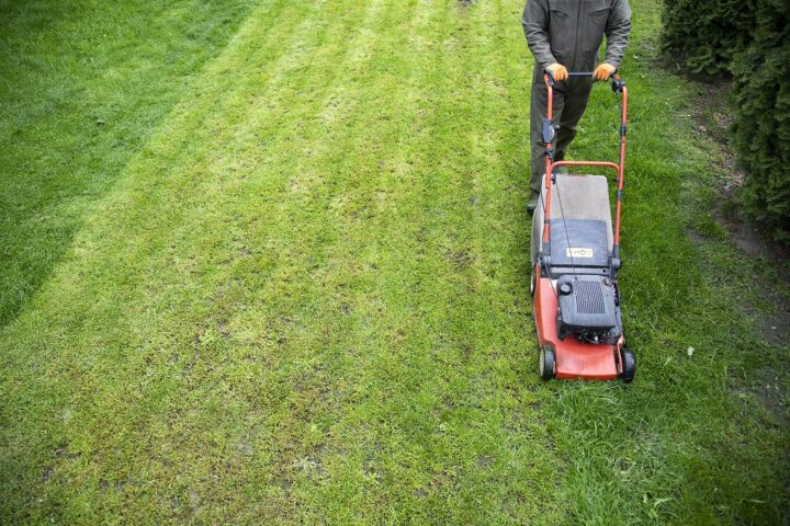 Professional Grass Cutting Services in Brampton