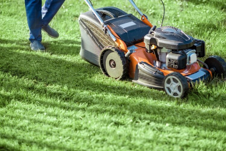 Benefits of Grass Cutting Services
