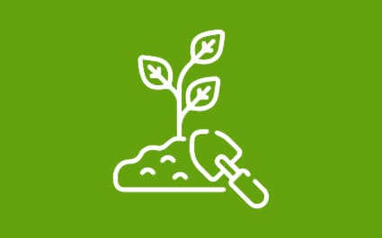GARDEN MAINTENANCE AND CARE