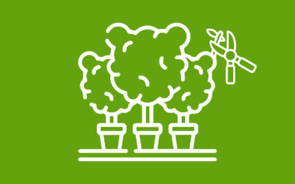 TREE AND SHRUB PRUNING
