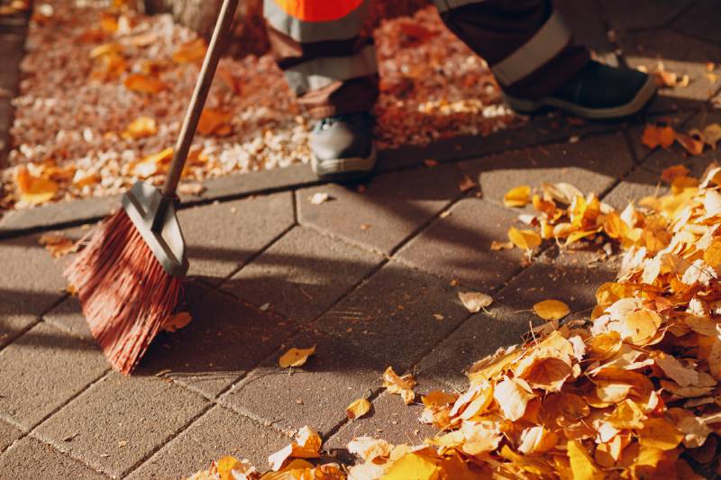 fall landscaping